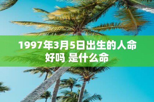 1997年3月5日出生的人命好吗 是什么命