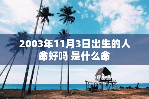 2003年11月3日出生的人命好吗 是什么命