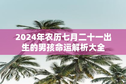 2025年农历七月二十一出生的男孩命运解析大全