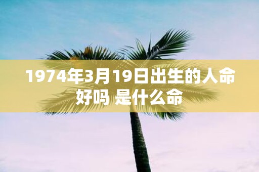 1974年3月19日出生的人命好吗 是什么命