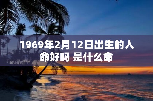 1969年2月12日出生的人命好吗 是什么命