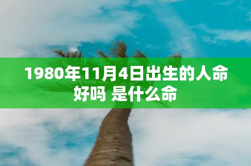 1980年11月4日出生的人命好吗 是什么命