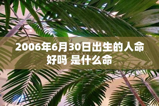 2006年6月30日出生的人命好吗 是什么命