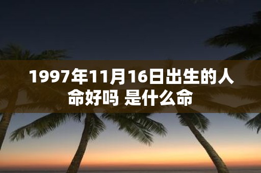 1997年11月16日出生的人命好吗 是什么命