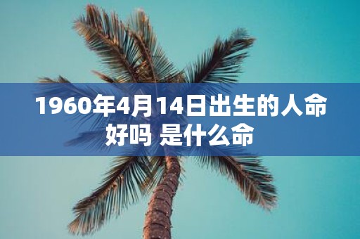 1960年4月14日出生的人命好吗 是什么命