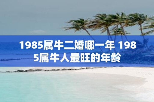 1985属牛二婚哪一年 1985属牛人最旺的年龄
