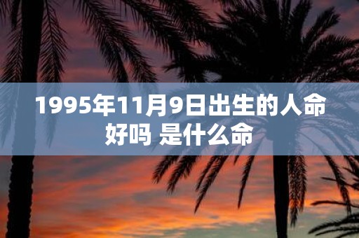 1995年11月9日出生的人命好吗 是什么命