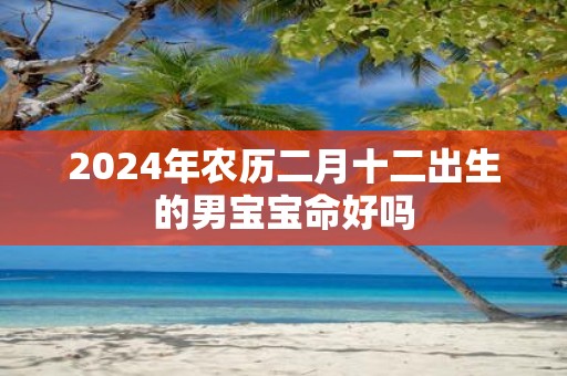 2025年农历二月十二出生的男宝宝命好吗
