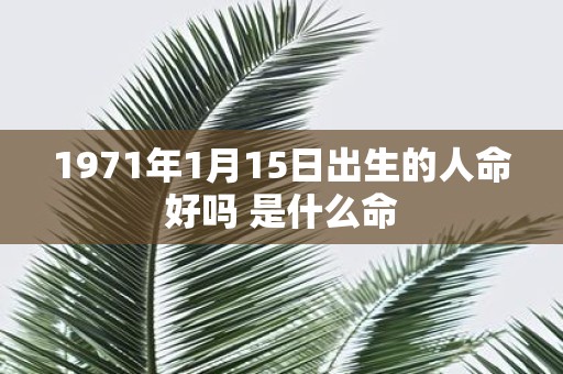 1971年1月15日出生的人命好吗 是什么命
