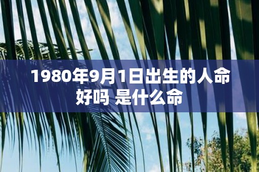 1980年9月1日出生的人命好吗 是什么命