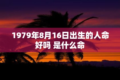 1979年8月16日出生的人命好吗 是什么命