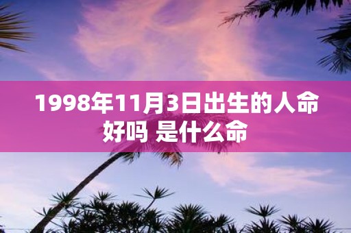 1998年11月3日出生的人命好吗 是什么命
