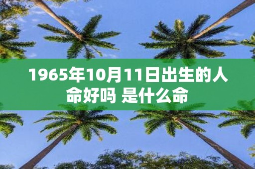 1965年10月11日出生的人命好吗 是什么命