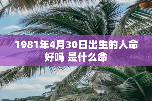 1981年4月30日出生的人命好吗 是什么命