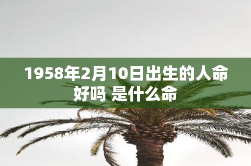 1958年2月10日出生的人命好吗 是什么命