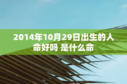 2014年10月29日出生的人命好吗 是什么命