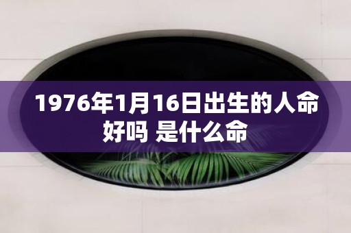 1976年1月16日出生的人命好吗 是什么命