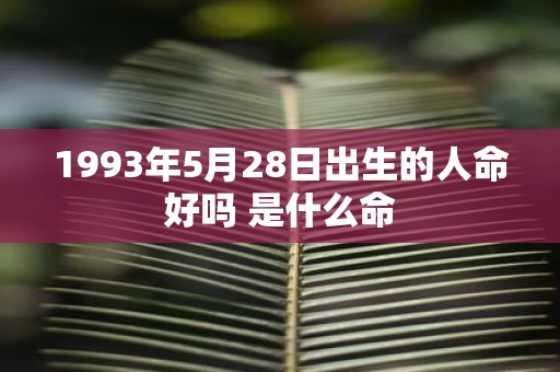 1993年5月28日出生的人命好吗 是什么命