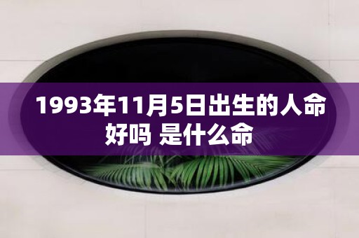 1993年11月5日出生的人命好吗 是什么命