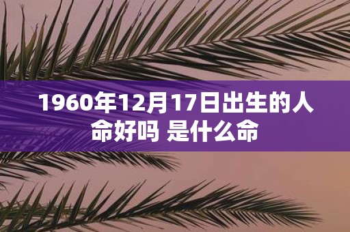 1960年12月17日出生的人命好吗 是什么命