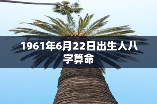 1961年6月22日出生人八字算命