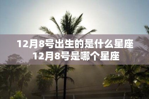 12月8号出生的是什么星座 12月8号是哪个星座