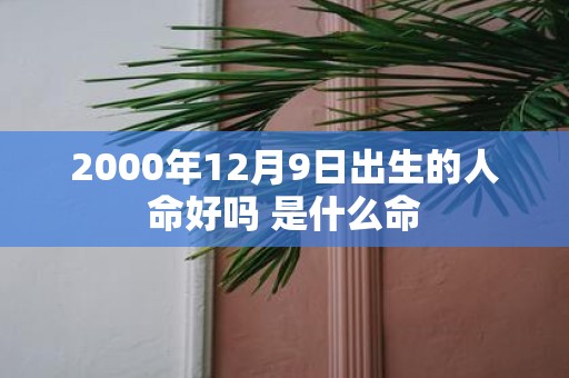 2000年12月9日出生的人命好吗 是什么命