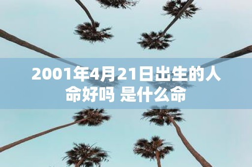 2001年4月21日出生的人命好吗 是什么命