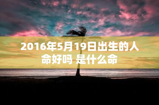 2016年5月19日出生的人命好吗 是什么命
