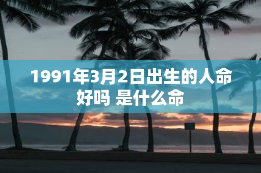 1991年3月2日出生的人命好吗 是什么命