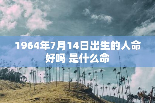 1964年7月14日出生的人命好吗 是什么命