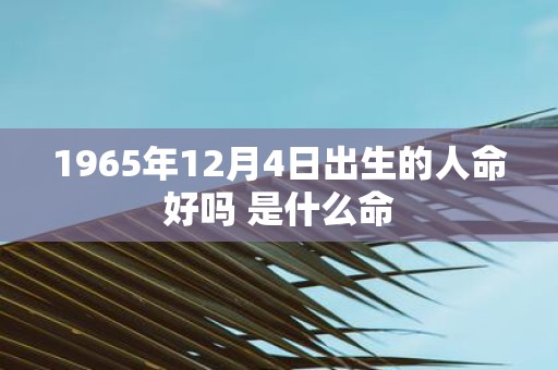 1965年12月4日出生的人命好吗 是什么命