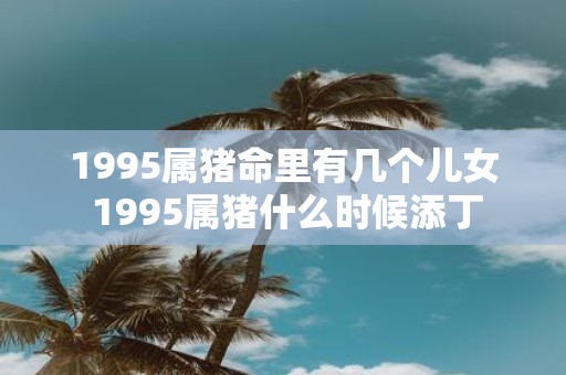 1995属猪命里有几个儿女 1995属猪什么时候添丁