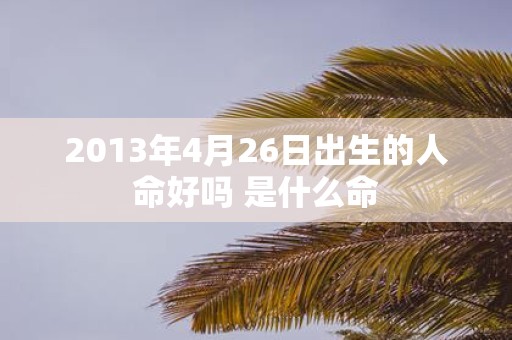 2013年4月26日出生的人命好吗 是什么命