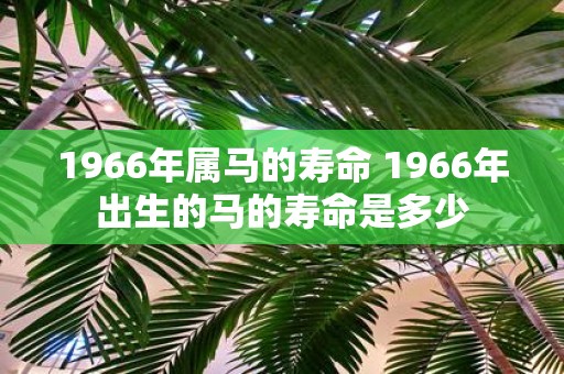 1966年属马的寿命 1966年出生的马的寿命是多少