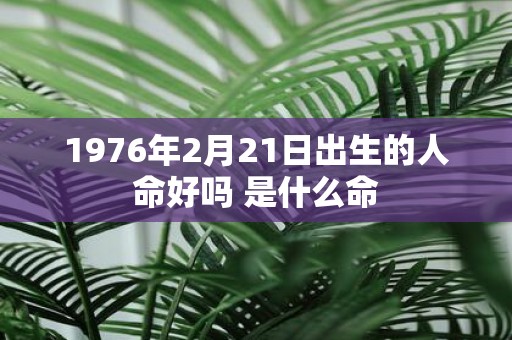 1976年2月21日出生的人命好吗 是什么命