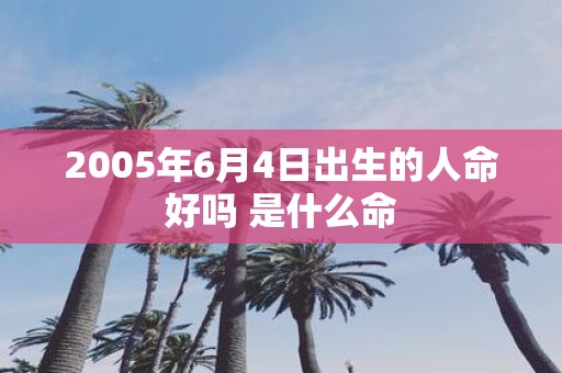2005年6月4日出生的人命好吗 是什么命