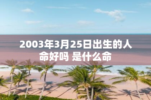 2003年3月25日出生的人命好吗 是什么命