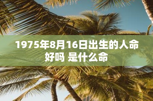 1975年8月16日出生的人命好吗 是什么命