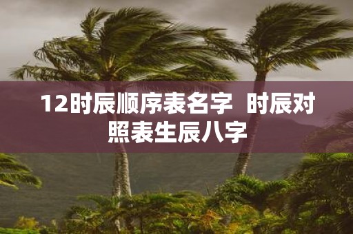 12时辰顺序表名字 时辰对照表生辰八字