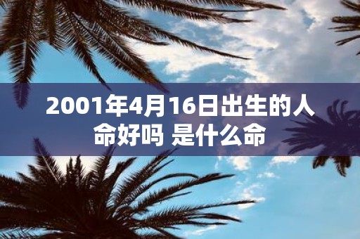 2001年4月16日出生的人命好吗 是什么命