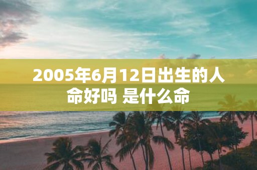 2005年6月12日出生的人命好吗 是什么命