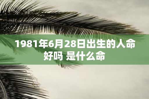 1981年6月28日出生的人命好吗 是什么命