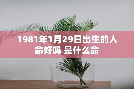 1981年1月29日出生的人命好吗 是什么命