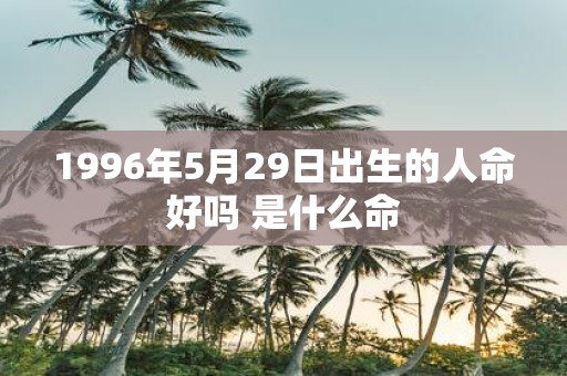1996年5月29日出生的人命好吗 是什么命