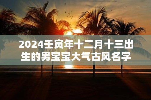 2025壬寅年十二月十三出生的男宝宝大气古风名字