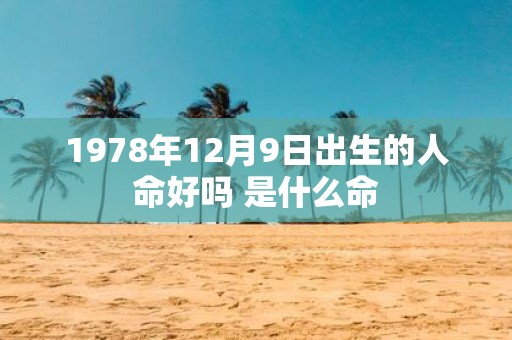 1978年12月9日出生的人命好吗 是什么命