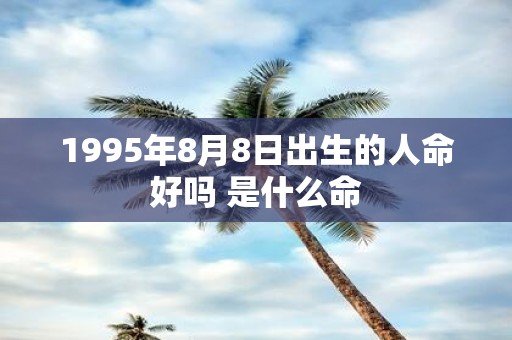 1995年8月8日出生的人命好吗 是什么命