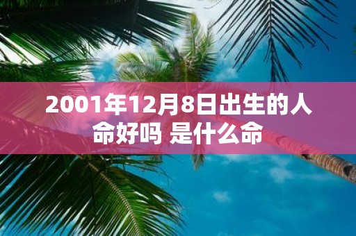 2001年12月8日出生的人命好吗 是什么命