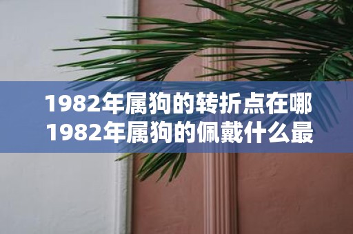 1982年属狗的转折点在哪 1982年属狗的佩戴什么最旺财